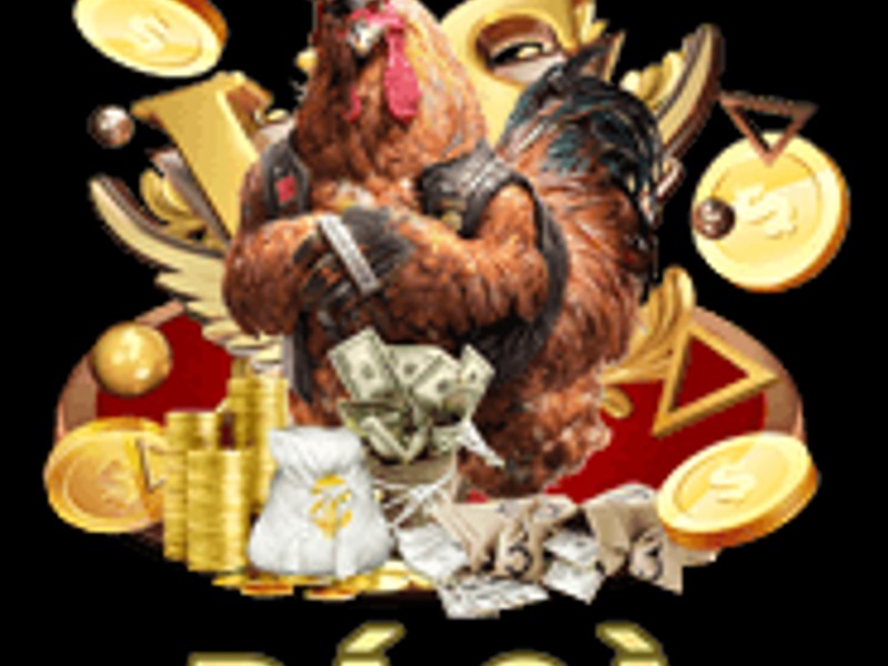 Mẹo cá cược đá gà siu88 hiệu quả